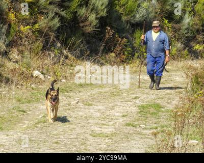 Un uomo e il suo cane stanno tornando a casa su una strada sterrata in montagna, San Fiz de Seo, Castiglia e Leon, Spagna, Europa Foto Stock