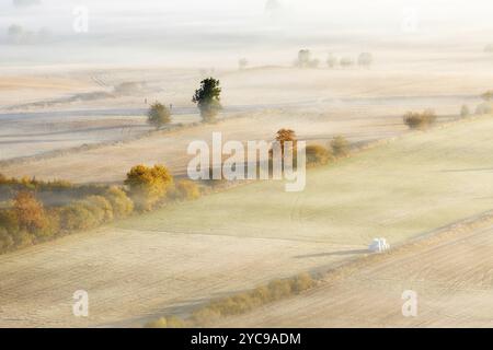 Nebbia di mattina in autunno su un paesaggio agricolo Foto Stock