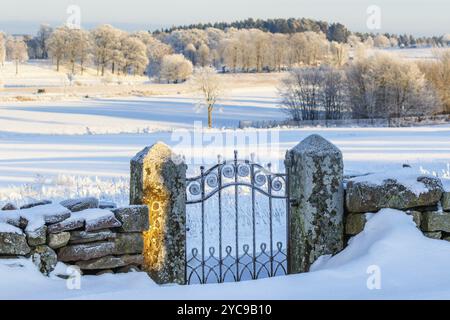 Vecchio cancello di ferro in un paesaggio invernale innevato nel campagna Foto Stock