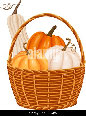 Una vivace illustrazione vettoriale a tema autunnale di un cestino di vimini pieno di zucche. La composizione prevede zucche arancioni e bianche. Illustrazione Vettoriale