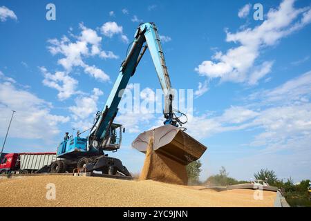 Porto fluviale di Montereau-Fault-Yonne (zona di Parigi): Carico e scarico di cereali sulla chiatta mercantile romantica, navigando lungo la Senna da Foto Stock