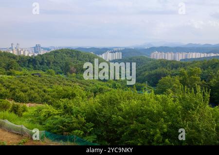 Ulsan, Corea del Sud - 10 luglio 2019: Una vista panoramica dal monte Ipwha rivela un paesaggio lussureggiante e verde che passa nello skyline urbano di Downto Foto Stock