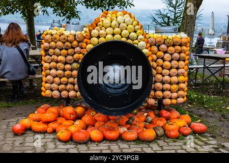 Una grande zucca ha la forma di un obiettivo per fotocamera. L'obiettivo della fotocamera è circondato da molte zucche, creando un display unico e creativo. La scena è pronta Foto Stock