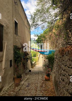 Un vicolo stretto e colorato con case, piante e un assiano in una brillante giornata estiva nel villaggio francese di campagna Montbrun-les-bains, Francia. Foto Stock