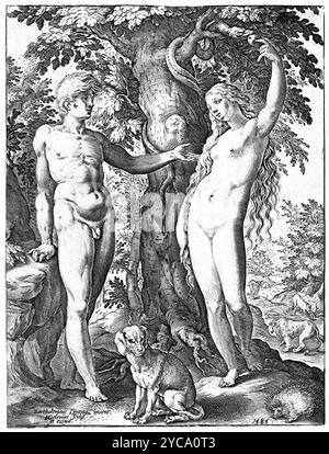 Adamo ed Eva, stampa, Hendrick Goltzius, dopo Bartholomeus Spranger, 1585 - colore corretto Foto Stock