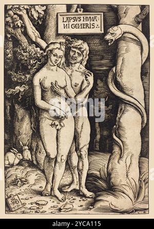 Hans Baldung Grien, Adamo ed Eva, 1511 Foto Stock