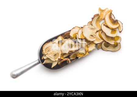 Funghi porcini secchi. Bolo a fette in sessola isolato su sfondo bianco. Foto Stock