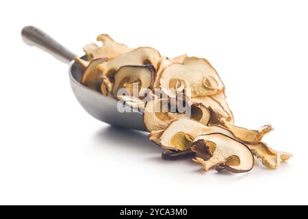Funghi porcini secchi. Bolo a fette in sessola isolato su sfondo bianco. Foto Stock