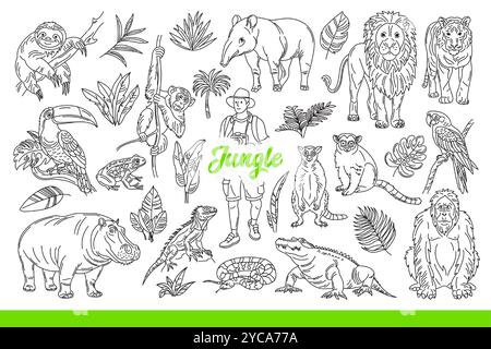 Fauna selvatica della giungla tropicale con animali e piante, o uomo che viaggia attraverso la foresta pluviale. Giungla con iscrizioni tra flora esotica e fauna pericolosa delle isole meridionali. Disegnato a mano. Illustrazione Vettoriale