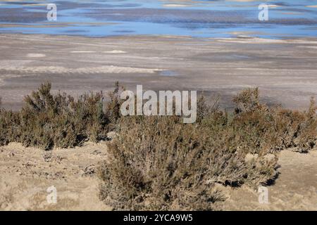 Splendido paesaggio di Saline nel parco naturale della città di Santa Pola, Alicante, Spagna Foto Stock