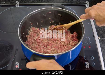 La mano di una cuoca donna con cucchiaio di legno mescola il manzo macinato e le cipolle tritate in una pentola blu su un piano cottura a induzione, preparando la base per un piatto di carne Foto Stock