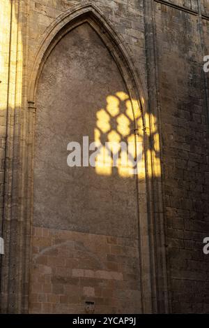 Cattedrale di Narbona, dedicata a Saint-Just-et-Saint-Pasteur o Santi Giusto e Pastore, Narbona, Occitanie, Francia Foto Stock