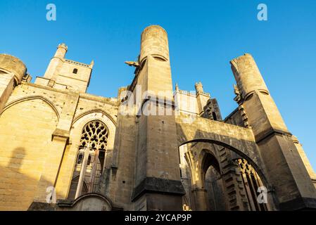 Cattedrale di Narbona, dedicata a Saint-Just-et-Saint-Pasteur o Santi Giusto e Pastore, Narbona, Occitanie, Francia Foto Stock