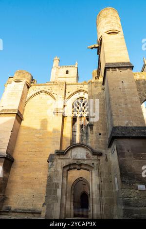 Cattedrale di Narbona, dedicata a Saint-Just-et-Saint-Pasteur o Santi Giusto e Pastore, Narbona, Occitanie, Francia Foto Stock