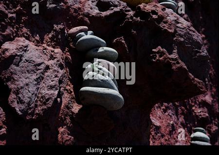 Una piccola lucertola verde crogiolata su una pila di ciottoli lisci contro l'aspra roccia rossa di Vereda da Ponta de São Lourenco Foto Stock