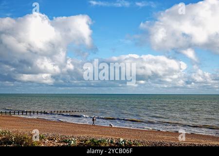 Un uomo che cammina un cane sulla spiaggia di Littlehampton in un giorno autunnale nel West Sussex Inghilterra Regno Unito Foto Stock