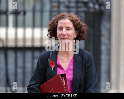 Londra, Regno Unito. 15 luglio 2024. Anneliese Dodds MP, Ministro aggiunto presso l'Ufficio degli affari esteri, del Commonwealth e dello sviluppo e Ministro aggiunto (Ministro delle donne e delle pari opportunità) presso il Dipartimento dell'istruzione lascia il Consiglio dopo la riunione del Gabinetto. Crediti: Uwe Deffner/Alamy Live News Foto Stock