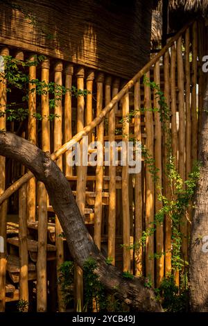 Il caldo bagliore della luce del sole filtra attraverso una foresta, evidenziando una ringhiera rustica di bambù che conduce a un'affascinante capanna con tetto in paglia, sottolineando un Foto Stock