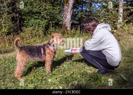 Una donna seduta in un lussureggiante campo verde interagisce con un amichevole Airedale Terrier a Rochers de Naye, mostrando la serena bellezza delle Alpi svizzere Foto Stock