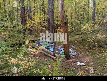 Rifiuti di plastica, rifiuti forestali in autunno Foto Stock