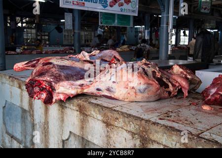 Market, Meat Hall, Port Louis, Oceano Indiano, Isola, Mauritius, Africa, Markt, Halle für Fleisch, indischer Ozean, Insel, Afrika Foto Stock