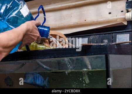 un uomo con una bottiglia d'acqua dolce e un acquario con pesci, da vicino al chiuso Foto Stock