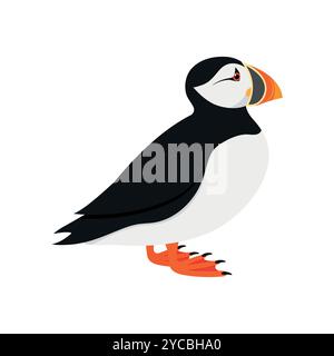 Uccello puffin Atlantico in vista profilo isolato su sfondo bianco. Illustrazione vettoriale Illustrazione Vettoriale