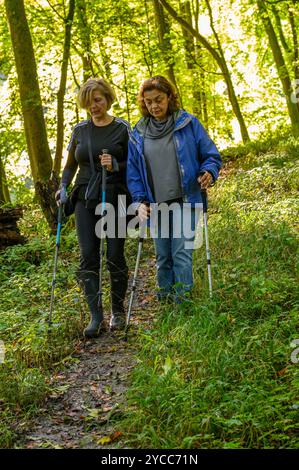 Due donne di mezza età camminano lungo un pendio su una collina boscosa, con la luce del sole su foglie verdi brillanti a South Downs nel West Sussex, Inghilterra. Foto Stock