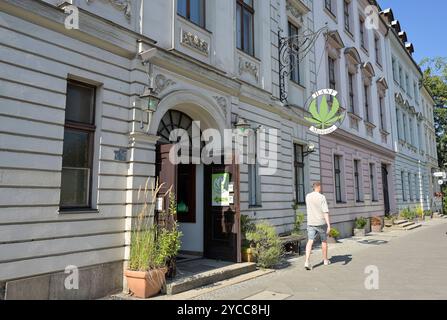 Hanf Museum, Mühlendamm, Mitte, Berlino, Deutschland *** Museo della canapa, Mühlendamm, Mitte, Berlino, Germania Foto Stock