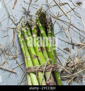 Asparagi verdi freschi in un mazzetto su sfondo blu. Il concetto di cibo sano, cibo crudo. Foto Stock