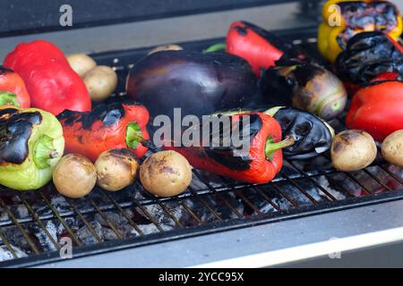 Diversi tipi di verdure (peperoni, patate, melanzane) cucinate su barbecue. Foto Stock