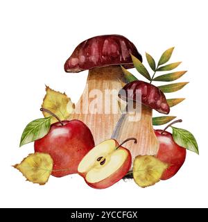 Composizione autunnale. Funghi porcini con mele rosse. Composizione acquerello su sfondo bianco. Raccolto autunnale Foto Stock