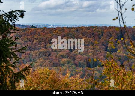Una vista mozzafiato mostra una foresta vivace e colorata in autunno, adornata da nuvole bianche sparse Foto Stock