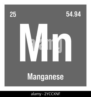 Manganese, Mn, elemento periodico della tabella con nome, simbolo, numero atomico e peso. Metallo di transizione con vari usi industriali, come nella produzione di acciaio, batterie, e come catalizzatore in determinate reazioni chimiche. Illustrazione Vettoriale