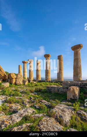 Tempio di Eracle, Valle dei Templi, Agrigento, Sicilia, Italia, Agrigento, Sicilia, Italia Foto Stock