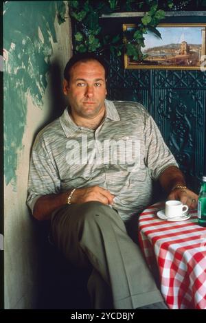 22 ottobre 2024, Hollywood, California, USA: DATA DI USCITA: 1999 TITOLO: The Sopranos STUDIO: HBO/Cinemax TRAMA: Il boss della mafia del New Jersey Tony Soprano affronta questioni personali e professionali nella sua vita domestica e commerciale che influenzano il suo stato mentale, portandolo a cercare consulenza psichiatrica professionale. PROTAGONISTA: James Galdofini (immagine di credito: © Entertainment Pictures via ZUMA Press) SOLO PER USO EDITORIALE! Non per USO commerciale! Foto Stock