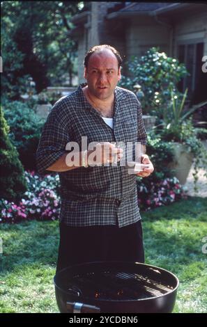 22 ottobre 2024, Hollywood, California, USA: DATA DI USCITA: 1999 TITOLO: The Sopranos STUDIO: HBO/Cinemax TRAMA: Il boss della mafia del New Jersey Tony Soprano affronta questioni personali e professionali nella sua vita domestica e commerciale che influenzano il suo stato mentale, portandolo a cercare consulenza psichiatrica professionale. PROTAGONISTA: James Galdofini (immagine di credito: © Entertainment Pictures via ZUMA Press) SOLO PER USO EDITORIALE! Non per USO commerciale! Foto Stock