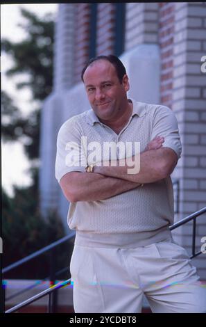 22 ottobre 2024, Hollywood, California, USA: DATA DI USCITA: 1999 TITOLO: The Sopranos STUDIO: HBO/Cinemax TRAMA: Il boss della mafia del New Jersey Tony Soprano affronta questioni personali e professionali nella sua vita domestica e commerciale che influenzano il suo stato mentale, portandolo a cercare consulenza psichiatrica professionale. PROTAGONISTA: James Galdofini (immagine di credito: © Entertainment Pictures via ZUMA Press) SOLO PER USO EDITORIALE! Non per USO commerciale! Foto Stock