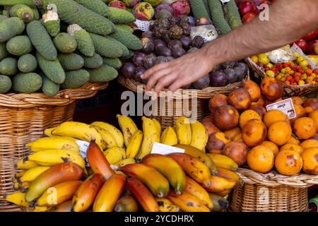 Varietà di frutta al mercato agricolo (Mercado dos Lavradores) di Funchal. Isola di Madeira, Portogallo Foto Stock