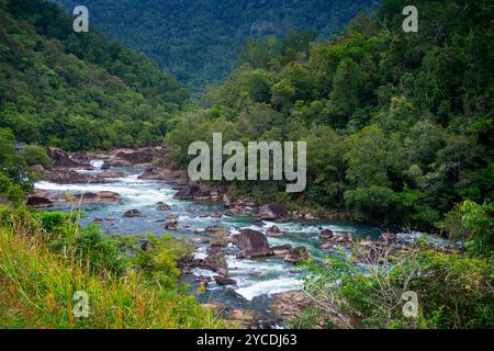 Fiume di montagna che scorre veloce, Tully River Tully Gorge North Queensland Foto Stock
