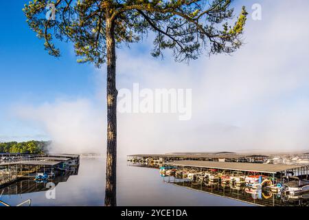 La nebbia mattutina arriva al Park Marina sul lago Allatoona al Red Top Mountain State Park di Cartersville, Georgia. (USA) Foto Stock