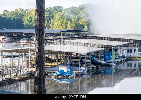 La nebbia mattutina arriva al Park Marina sul lago Allatoona al Red Top Mountain State Park di Cartersville, Georgia. (USA) Foto Stock