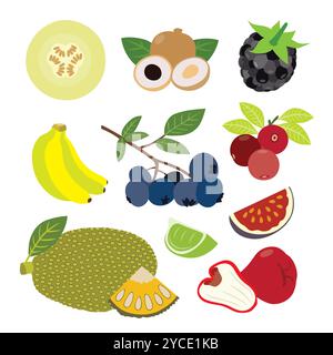 Vetrina di frutta tropicale ed esotica Illustrazione Vettoriale