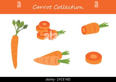 raccolta di carote in pose diverse. Illustrazione vettoriale. Illustrazione Vettoriale