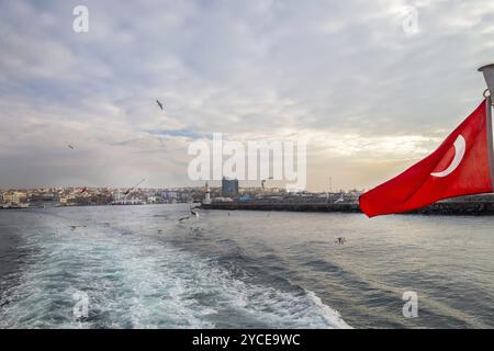 Splendida vista dalla nave passeggeri al quartiere Kadikoy di Istanbul con gabbiani e la bandiera nazionale rossa della Turchia. Molo sul lato destro Foto Stock