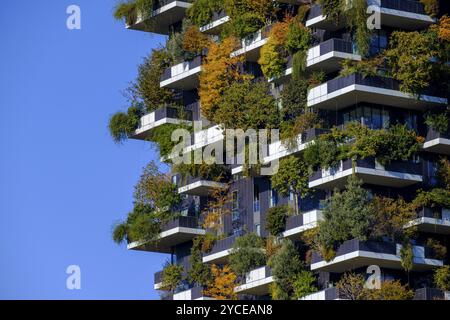 Bosco verticale, torre gemella, torre verde con alberi e arbusti, grattacieli, quartiere porta nuova, Milano, Lombardia, Italia, Foto Stock