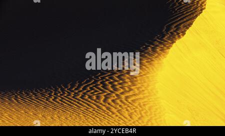 Struttura di sabbia scolpita dal vento nel deserto di Rub al Khali, provincia di Dhofar, penisola arabica, Sultanato dell'Oman Foto Stock