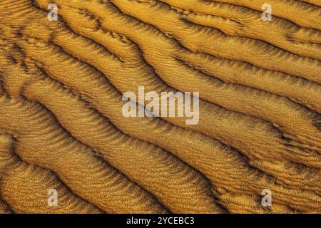 Struttura di sabbia scolpita dal vento nel deserto di Rub al Khali, provincia di Dhofar, penisola arabica, Sultanato dell'Oman Foto Stock