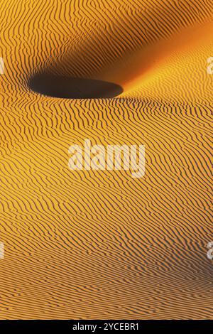 Struttura di sabbia scolpita dal vento nel deserto di Rub al Khali, provincia di Dhofar, penisola arabica, Sultanato dell'Oman Foto Stock