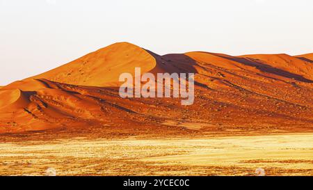 Dune di sabbia curve scolpite dal vento alla luce della sera, nel deserto di Rub al Khali, nella provincia di Dhofar, nella penisola arabica, nel Sultanato dell'Oman Foto Stock